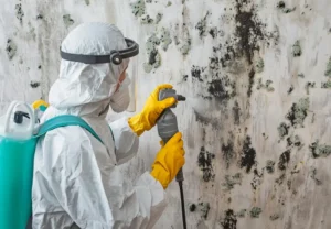 cout decontamination moisissure quebec