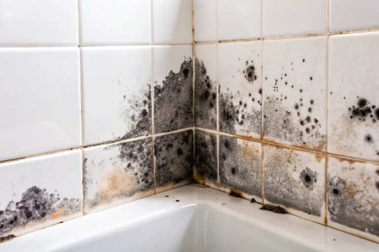 decontamination moisissures salle de bain