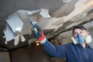 restauration apres feu